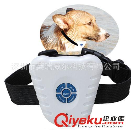超声波宠物止吠器 狗狗防叫项圈 小型犬用 防狗叫训导器 5692