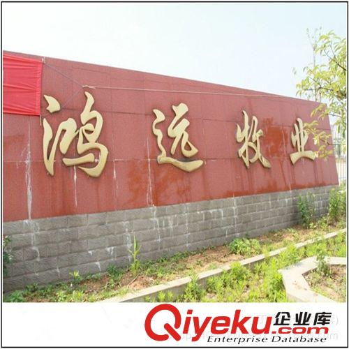 阿拉伯马的价格 阿拉伯马长什么样的  阿拉伯马 多少钱一匹