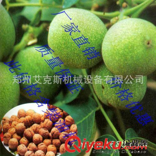 核桃剥皮机，青核桃剥皮效果好吗，艾克斯机械专业生产核桃剥皮机
