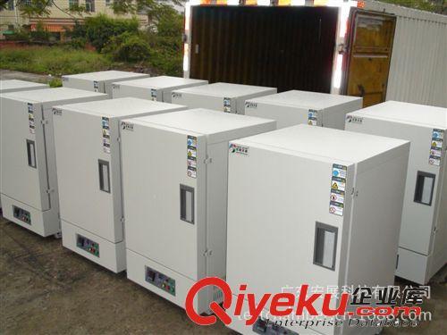 精密烘箱 批量供应全新干燥箱 真空干燥箱 烘箱干燥箱 实验室干燥箱