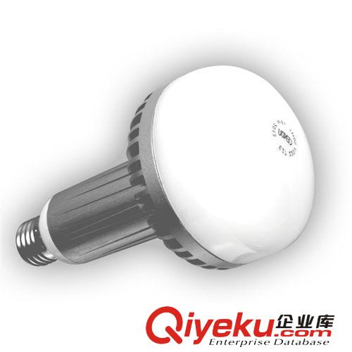 LED球泡 CQ1A-15W瓦 LED球泡灯泡 超高亮大功率无频闪 高档工程照明品牌