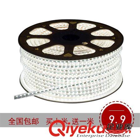 LED灯带 康花220V高压 LED灯带 3528 单色 60灯 LED软灯条厂家批发