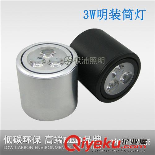 LED 防雾筒灯 极浦LED筒灯3W 5W明装筒灯 LED天花走廊过道射灯LED节能灯具 特价