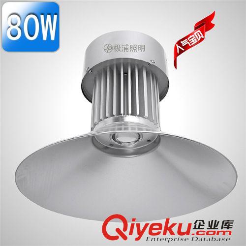 LED 投光灯/工矿灯 LED工矿灯30W50W80W100W天棚灯厂房灯超市商场灯球场灯加油站灯