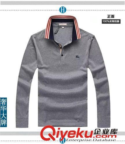 阿里客户加工定做样品 外贸订单专业贴牌生产加工定制2014秋装新款男式纯棉翻领polo衫