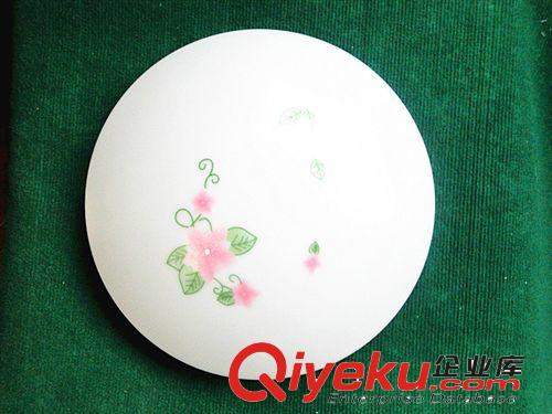 新品上市 提供简约美观led吸顶天花灯 高亮LED吸顶灯卧室客厅灯书房厨卫灯