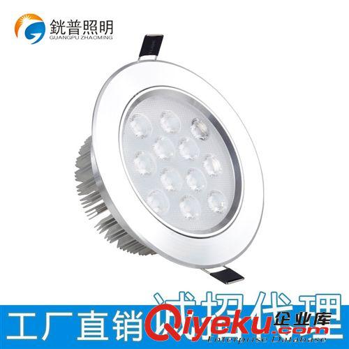 LED天花灯 【銧普照明】酒店装修专用天花灯12*1W高光银面太阳花天花射灯