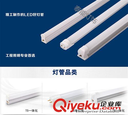LED日光管 经济款 恒流驱动LED日光灯管T8 T5分体化一体化9W13W18W厂家批发