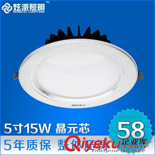 LED天花筒灯 炫派照明 5寸led筒灯15W 开孔15公分一体化压铸外壳全套工程