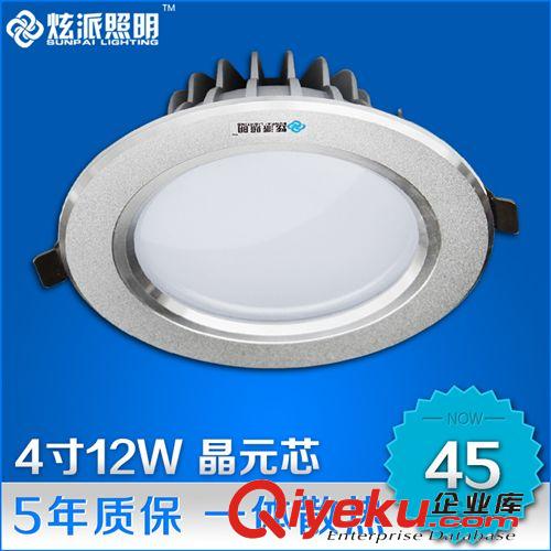 LED天花筒灯 炫派 12W超亮！LED天花灯 射灯4寸led筒灯 客厅卧室灯背景墙射灯