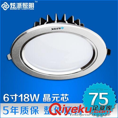 LED天花筒灯 炫派 18W超亮！LED天花灯 射灯6寸led筒灯 客厅卧室背景墙射灯