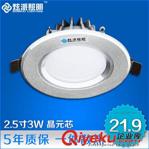 LED天花筒灯 炫派 3W超亮！LED天花灯 射灯 2.5寸led筒灯 客厅卧室背景墙射灯