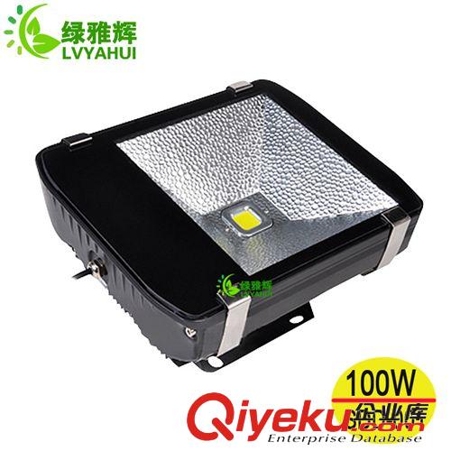 LED隧道灯 供应led隧道灯 50w 80w 100w单头led隧道灯 优质led隧道灯