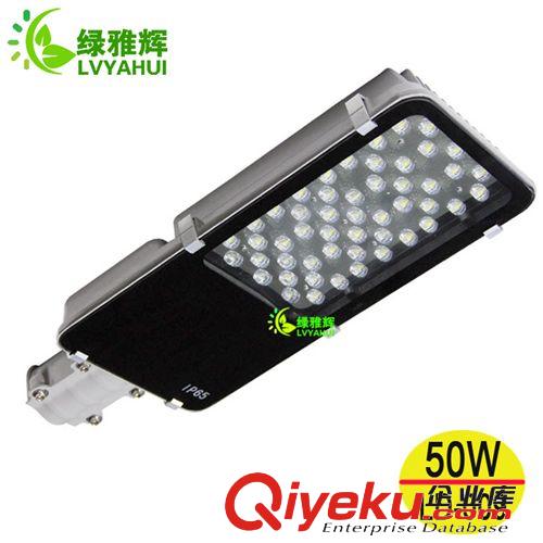 LED路灯 供应led路灯 50w 60w中金豆led路灯 大号牙刷款led路灯