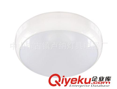 LED吸顶灯 16W阻燃吸顶灯 亚克力灯具 客厅房间卧室阳台LED吸顶灯 LN-830