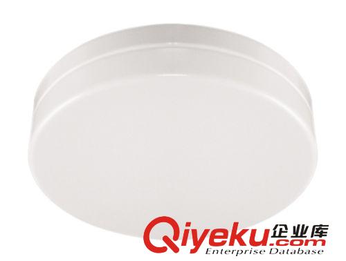 LED吸顶灯 12W 中山灯具 客厅房间卧室阳台LED吸顶灯 亚克力灯罩 LN-C839