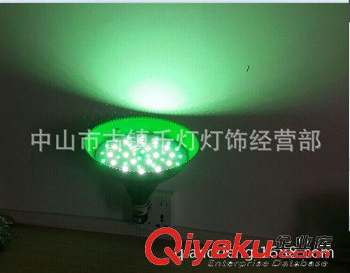LED 生鲜灯 套件  新款LED生鲜灯超市商场水果蔬菜猪肉熟食肉档市场海鲜灯照明吊灯
