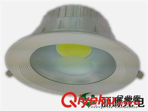 筒灯 生产供应 COB筒灯6寸20W led筒灯套件 LY-TD-J03