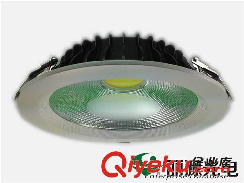 筒灯 厂家生产 COB高档工程筒灯8寸30W 面光源led筒灯