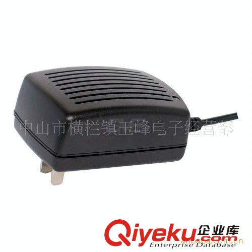 插墙式电源 低价供应小功率5V/12V/9V/6V电源适配器