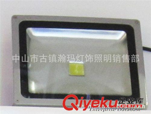 LED投光灯 工程{sx}LED投光灯30W 照树灯 LED集成投光灯 古镇LED厂家直销