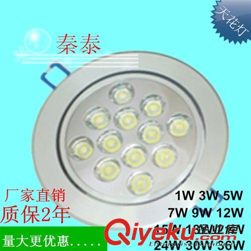 LED天花灯 大功率 12W LED 天花灯 射灯 筒灯 客厅灯饰 节能灯具 厂家直销