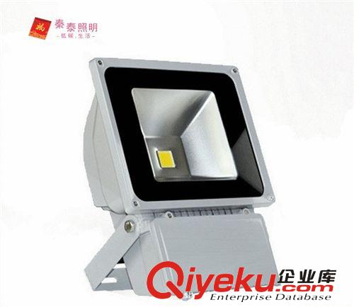 LED投光灯 室内照明 大功率100W集成投光灯LED射灯厂家直销 质保3年