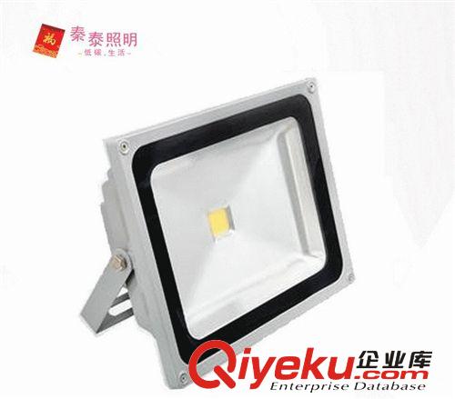 LED投光灯 室内照明 大功率50W集成投光灯LED射灯厂家直销 质保3年