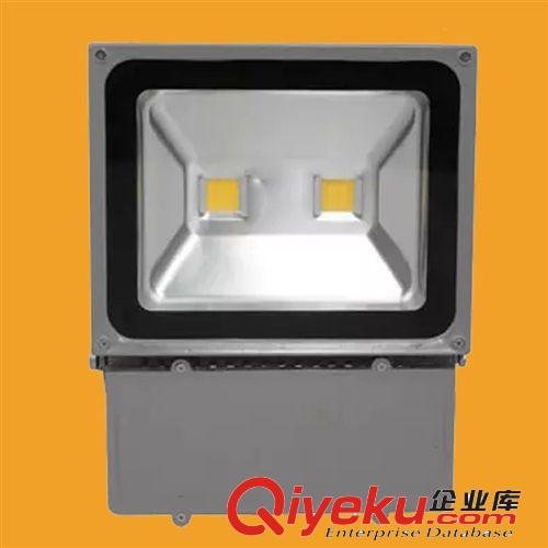 投光灯系列 led投光灯led泛光灯双头100W户外灯广告牌灯投射灯厂家直销照明