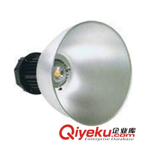 工矿灯具 【物美价优】100W工矿灯 LED集成100W单颗工矿灯 100W矿井灯