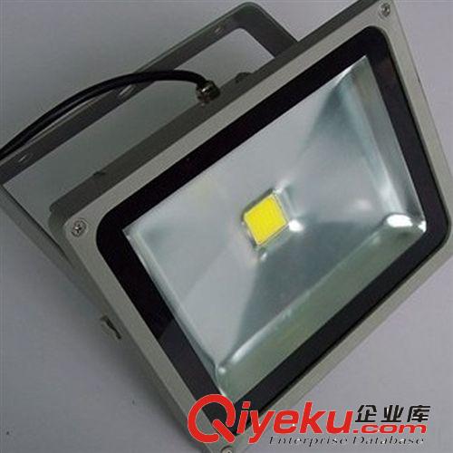LED投光灯 【价格合理】30W集成投光灯 景观照明LED30W泛光灯 映烽照树灯