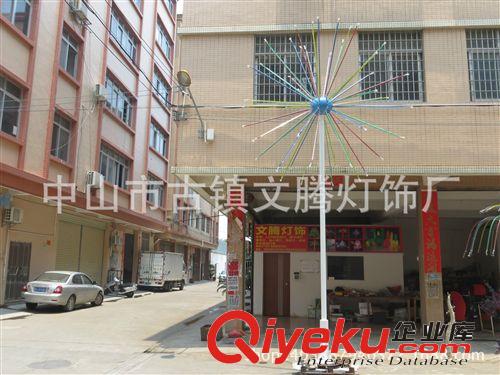 LED烟花灯 高6米宽3米 48枝园林景观亮化灯具、LED烟花灯、椰子树