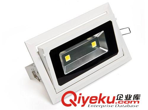 led天花灯 爆款 30w/40w led天花灯外壳 双头，三头投光灯外壳 出口品质