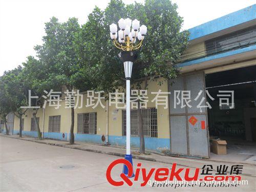 景观灯 中山户外为厂家批发LED中华灯；定制中华灯路灯 广场灯 球场灯
