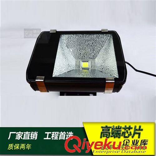 LED路灯 道路照明 100W投光灯 LED隧道灯 公园景观灯 户外工程照明