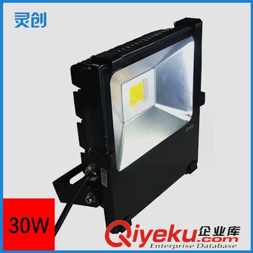 LED泛光灯 厂家批发灵创品牌LED投光灯 30W led投光灯 高亮泛光灯