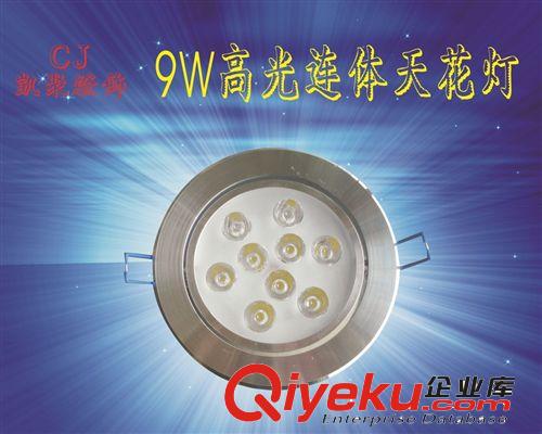 天花灯 天花灯 高光连体 9W