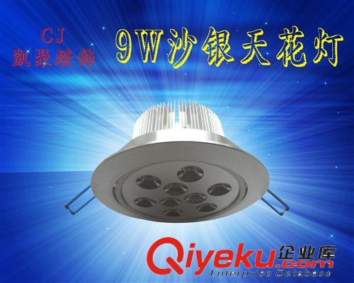 天花灯 沙银单颗 天花灯 9W