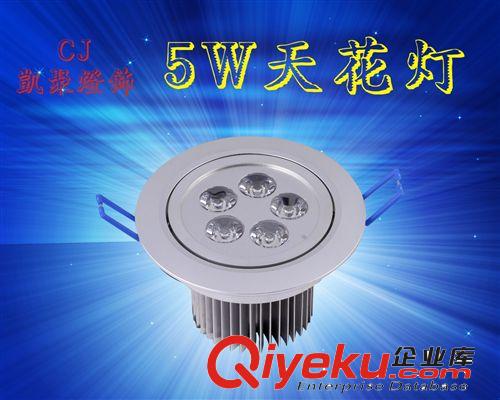 天花灯 沙银单颗 天花灯 5W