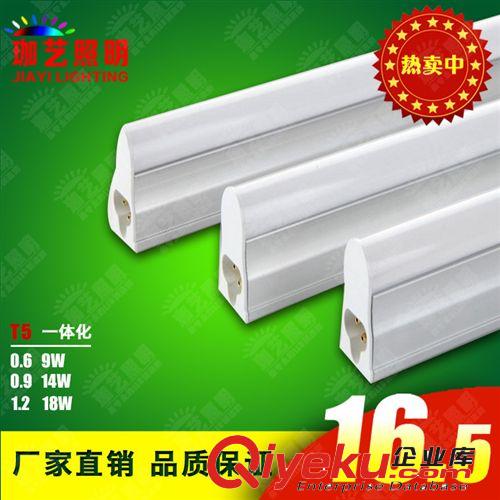 LED日光灯 T5一体化LED日光灯12W 厂房、商铺照明装修 超节能厂家直销