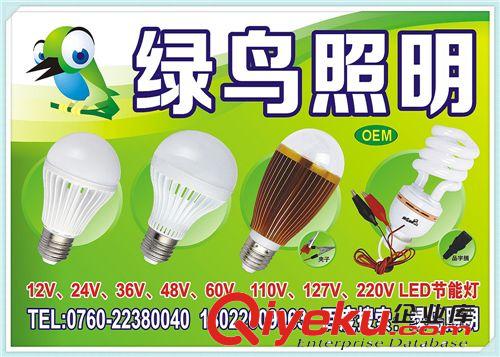 led灯厂家批发 DC12V LED球泡灯 夜市灯 电瓶灯 led节能灯