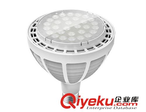 热销60W大功率LED射灯 LED装饰灯 LED绿化灯 LED工业照明灯具