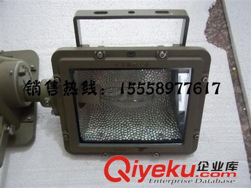 厂价直销矿用隔爆型泛光灯DGS100/127B(B)|DGS100/127B(B)