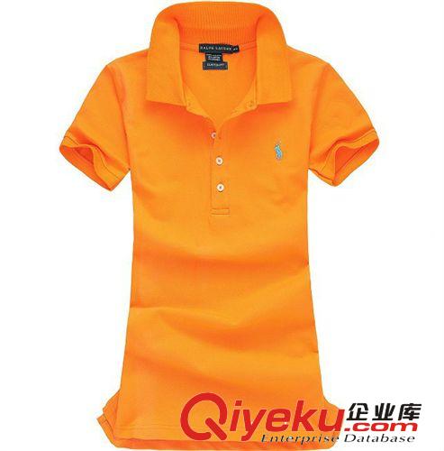 专业订做2014春夏新款女装纯棉珠地开胸翻领短袖女T恤休闲运动装