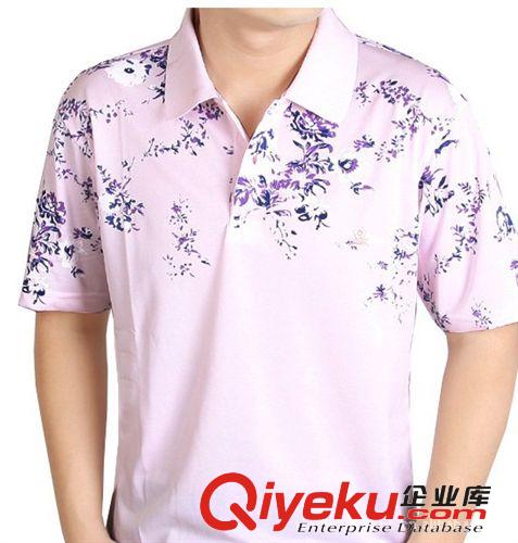 供应2013年 厂家直销新款男士休闲印花翻领t-shirt 订做服装