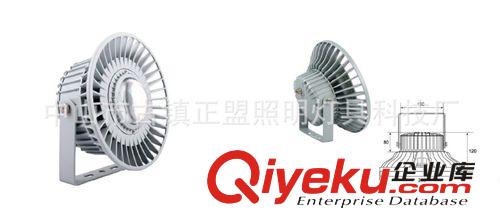 2014 新款上市 户外灯具照明 亮化投光灯