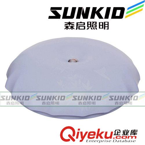 LED吸顶灯 雨伞形亚克力吸顶灯圆形卧室阳台led吸顶灯 吸顶天花灯