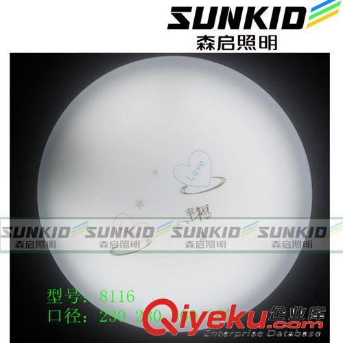 亚克力LED吸顶灯儿童卧室灯 卡通灯儿童房灯具灯饰 高亮led吸顶灯