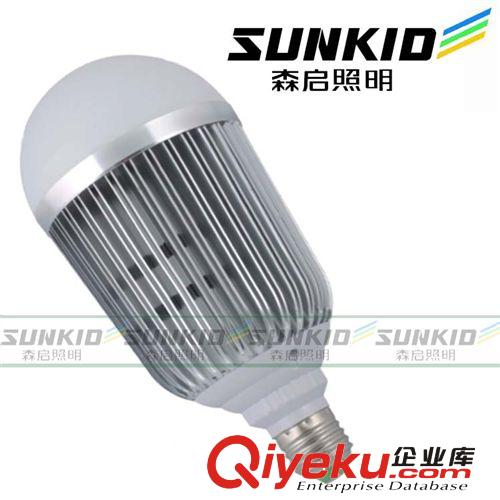 LED球泡 led灯泡21W 24W  led节能灯 大功率高亮光源LED节能光源