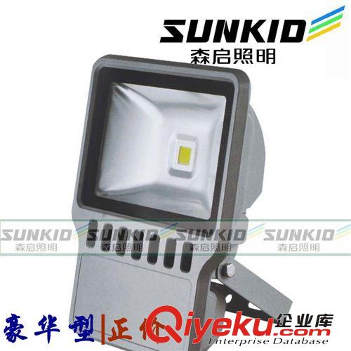 LED投光灯工矿灯 100Wled泛光灯 户外工程广告灯 防水led投射灯